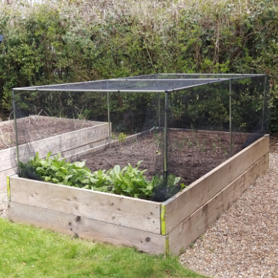 What Fruit Can I Grow In My Fruit Cage, Garden Tunnel or Raised Bed?