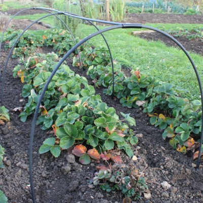 Garden Hoops and Tunnel Kits from Gardening Naturally