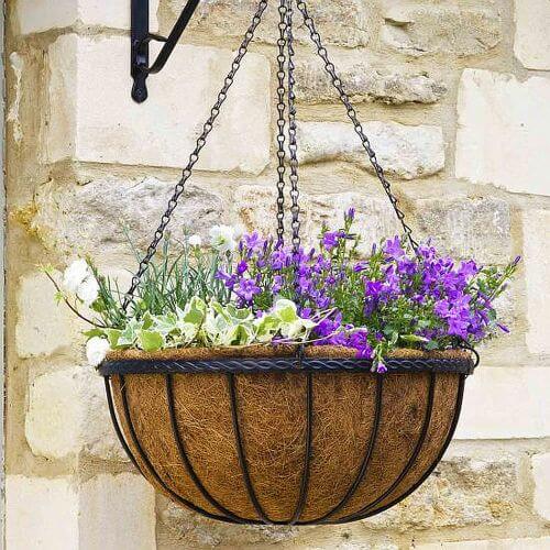 What Is Good To Go In Your Hanging Baskets?