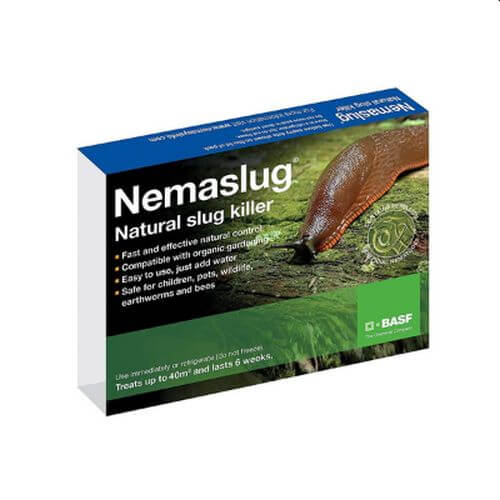 What Are Slug Nematodes?