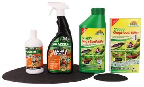 Organic Pest Control Happy and Healthy Growing