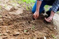 No Dig Gardening - What Is It and How Do You Get Started