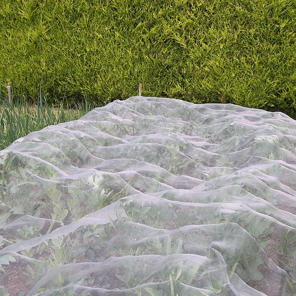 Fleece Frost Plant Protection Weed Pest Control Garden Membrane 10x1.6m 