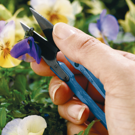 Tools & Garden Maintenance