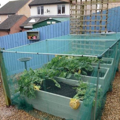 Fruit & Vegetable Cages
