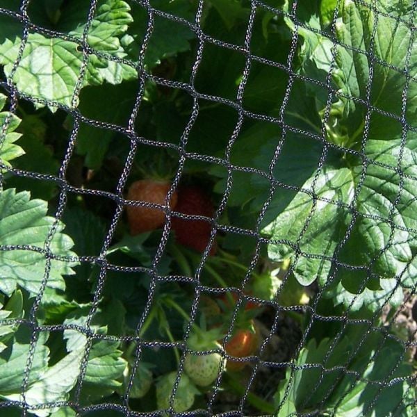 Protective Bird Barrier Net/Netting-12'x15'-protection-cover-fruit tree-garden 