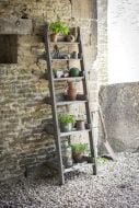 Aldsworth Shelf Ladder - Small