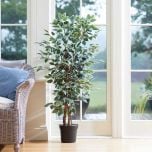 Artificial Weeping Fig Houseplant  