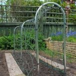 Pea and Bean Frame Small Domed