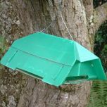 Pea Moth Trap and Refills