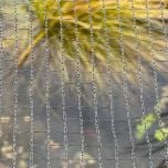 Pond Netting Protect against Herons and Debris