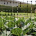 Poultry & Fruit Cage Netting