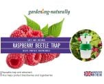 Raspberry Beetle Trap and Refills