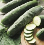 Organic Cucumber Seed