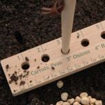 Seed and Plant Spacing Ruler
