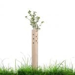 Biodegradable Tree Guards