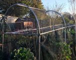 Domed Aluminium Fruit or Vegetable Walk In Cage - DVC