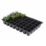 Professional 40 Cell Seed Trays (Pack of 5)