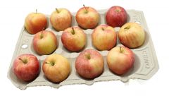Biodegradable Apple Tray 12 Compartments