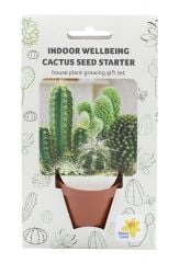Grow Your Own Cactus