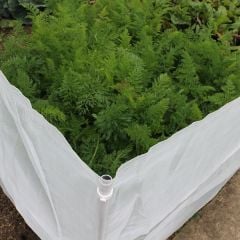 Carrot Fly Fence Netting 1m High