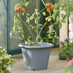 Clever Tomato Planter Pots For Easy Watering