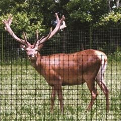 Deer Netting Fencing