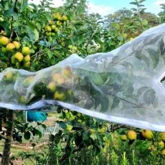 Fruit Tree Sleeves Netting Bags