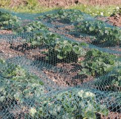 Green Bird Netting for Fruit and Vegetables
