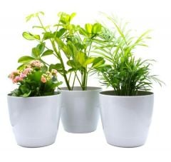 Indoor Plant Pot - Round