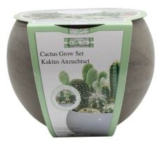Grow Your Own Cactus Plants Kit