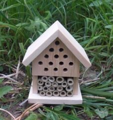 Make Your Own Insect House