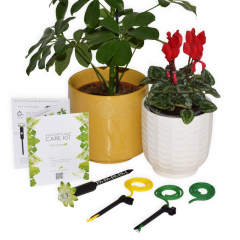 Indoor Plant Watering Kit