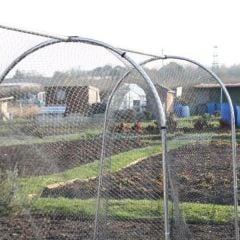 Large High Top Hoop Frame  (Fruit & Vegetable Hoop Cages) - PCHL