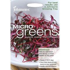 Micro Greens Beetroot 