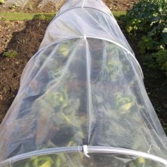 Polythene for Plant Protection in the Garden