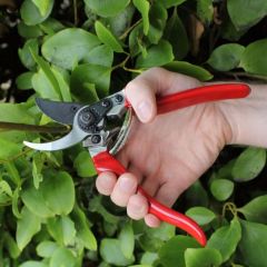 Professional Pruner Strong and Light Darlac DP30