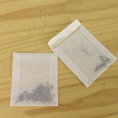 Glassine Seed Storage Envelopes (20)