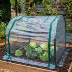 Seedling Cloche with Clear Cover 92cm