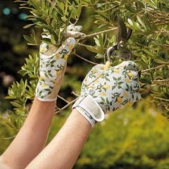 Gardening Gloves Sicilian Lemon 
