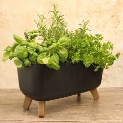 Zinnia Plant Trough Indoor/Outdoor Use 100% Recycled Plastic