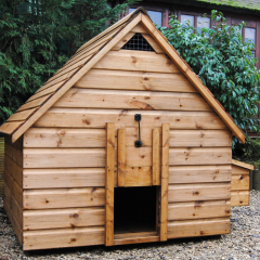 Chicken coop for 8 to 12 hens