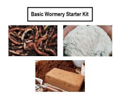 Wormery Starter Kit