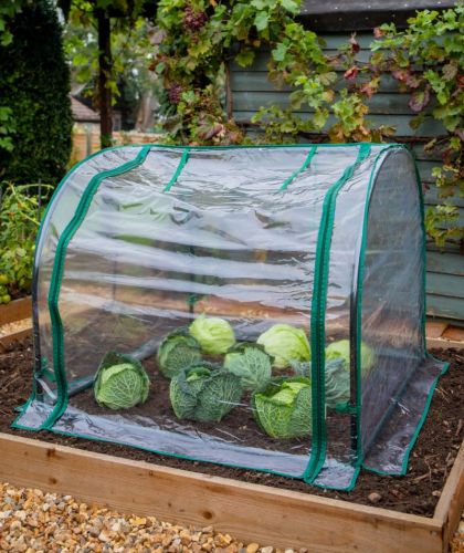 Seedling Cloche with Clear Cover 92cm