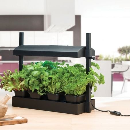 Micro Grow Light Garden for Salads and Herbs