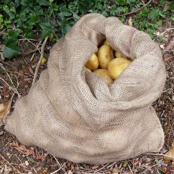 6 Pcs Drawstring Burlap Bag Bags Potato Storage Reusable Muslin Shopping |  eBay