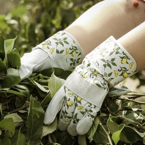 Sicilian Lemon Gardening Rigger Gloves Medium 