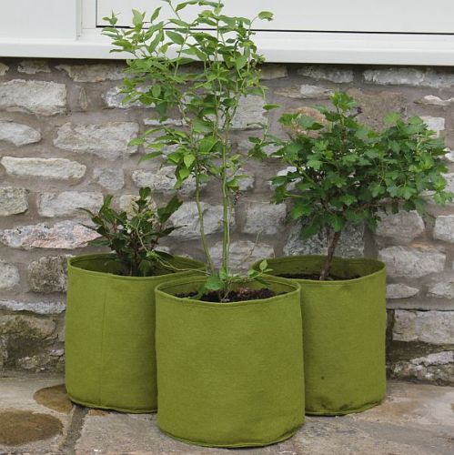 Vigoroot Fabric Pots For Flowers or Fruit 10L Pack of 3