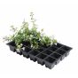 Professional 24 Cell Insert Plant Trays (Pack of 5)