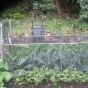 Fruit And Vegetable Cages 900mm High